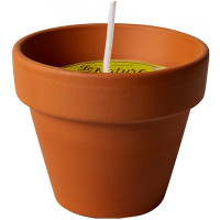La nature vasetto in terracotta con citronella mini