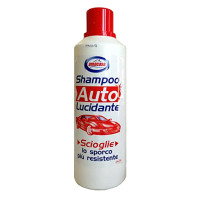 Amacasa shampoo per auto - lt.1