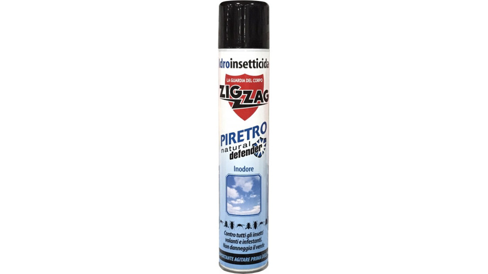 Zig Zag idroinsetticida piretro inodore ml.500