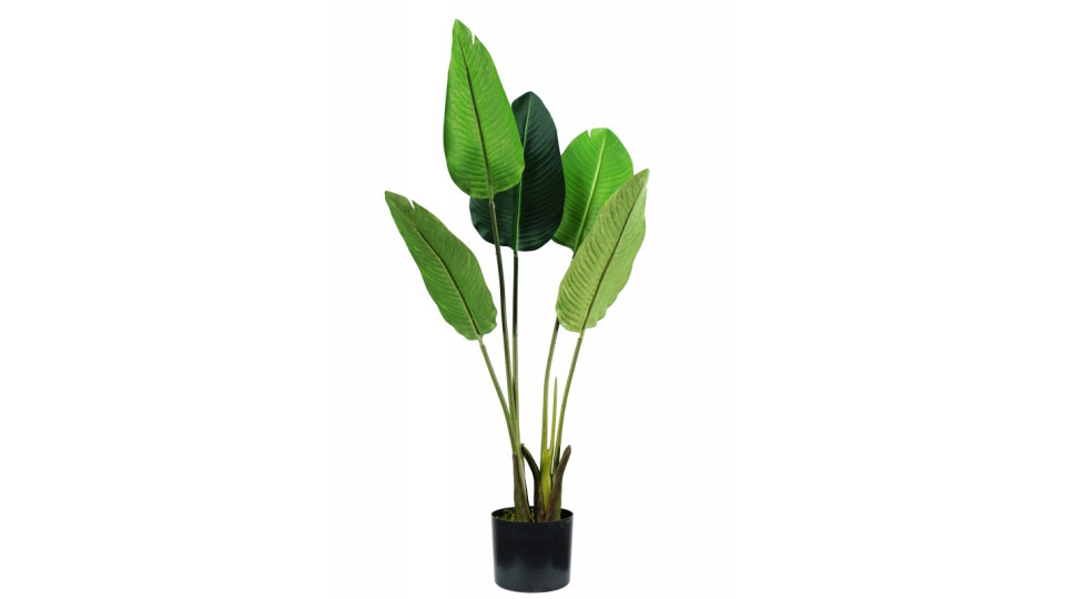 pianta finta strelitzia h. 100 cm 5 foglie