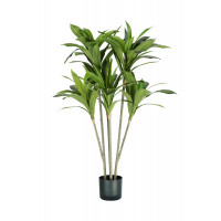 pianta dracaena h. 130 cm 88 foglie