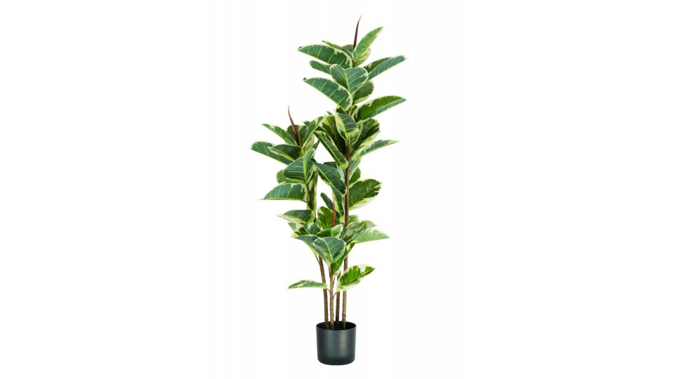 pianta finta ficus elastica h. 145 cm 54 foglie
