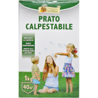 Compagnia sementi prato calpestabile kg.1