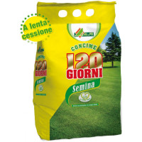 Alfe 120giorni semina kg.4