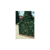 recinzione pvc con foglie lauro e rete ombreggiante h. 100...