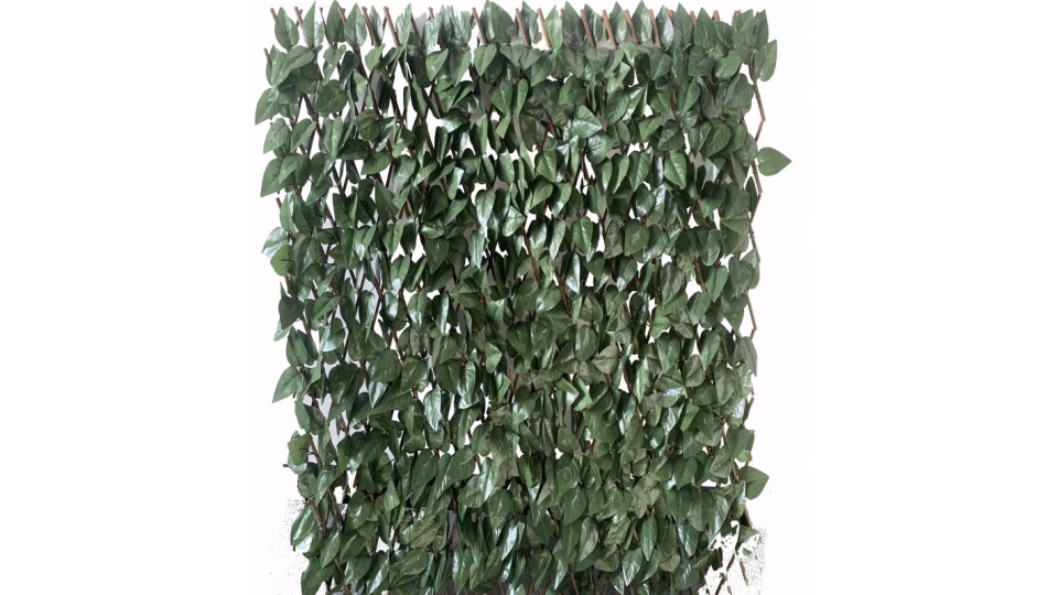 estensibile in salice con foglie lauro h. 100 l. 200 cm