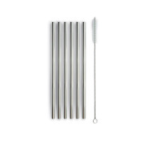 Tutto per i cocktail: Miami set 6 cannucce con scovolino silver