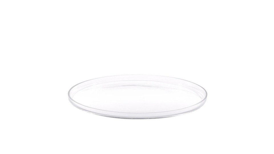 Tortiera piatto da torta in vetro diamtro 30 cm
