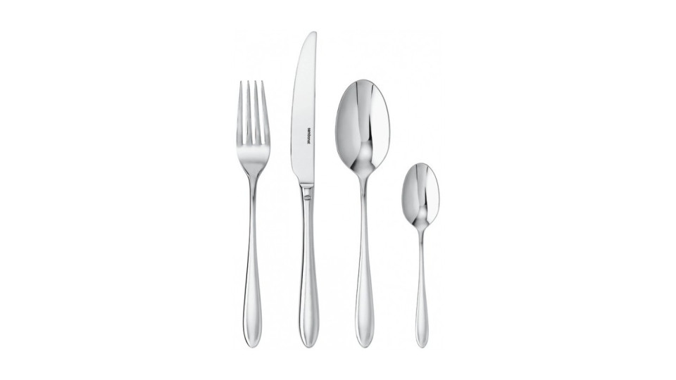 Forchette, coltelli e cucchiai: Dream servizio di posate inox...