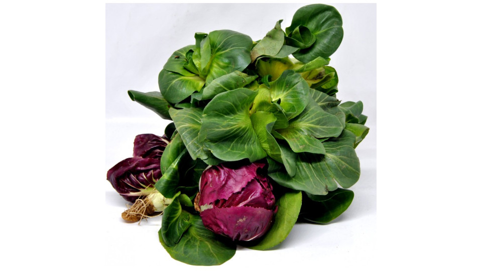 Cicorino verde