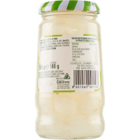 Sacla cipolle in aceto