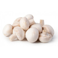 Funghi Champignon