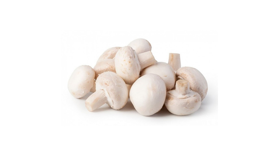 Funghi Champignon