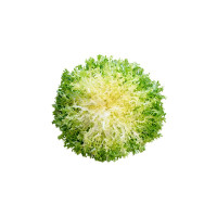 Insalata Riccia