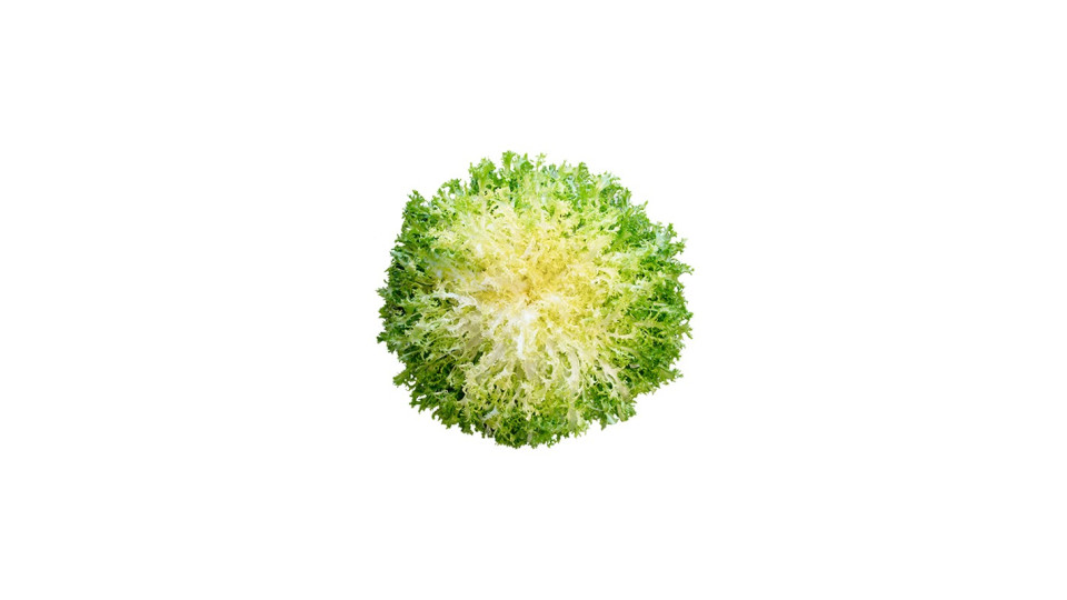 Insalata Riccia