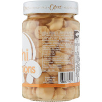 Citres funghi champignon