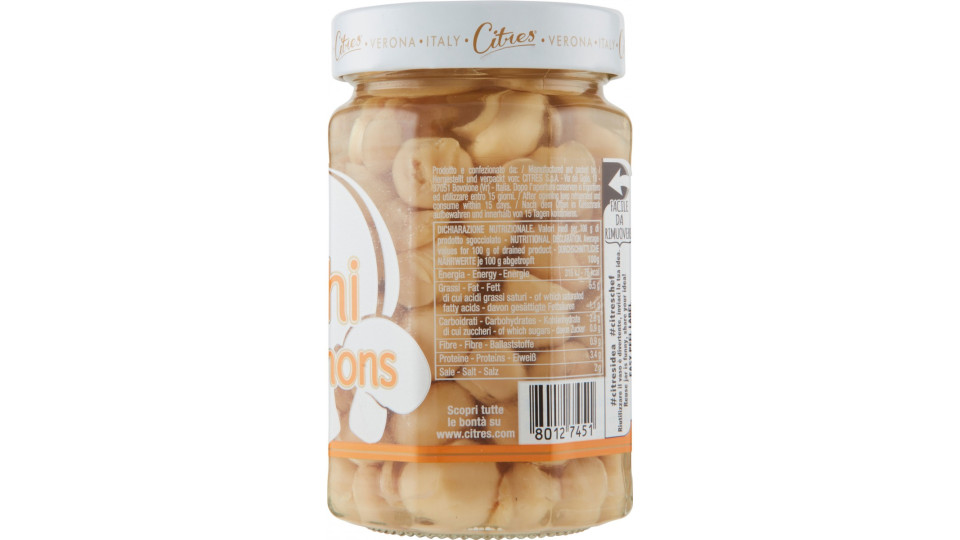 Citres funghi champignon