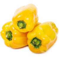 Peperone Giallo