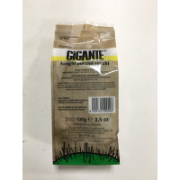 gigante funghi porcini