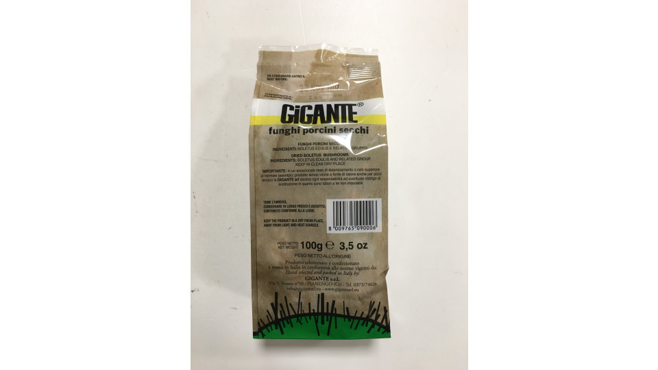 gigante funghi porcini