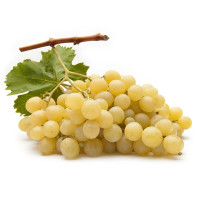Uva Bianca Vittoria, 800-1000g