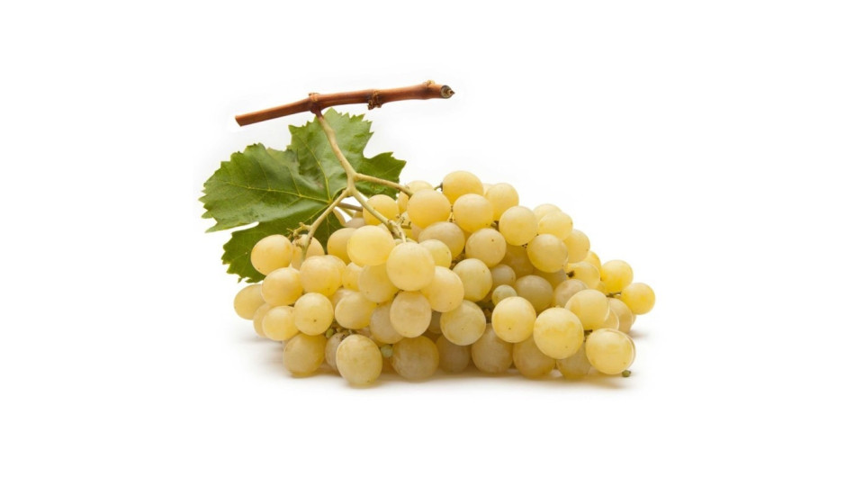 Uva Bianca Vittoria, 800-1000g