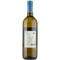Bottebuona trebbiano rubicone