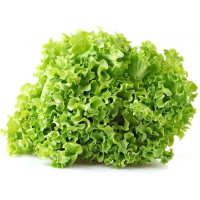 Insalata Gentile