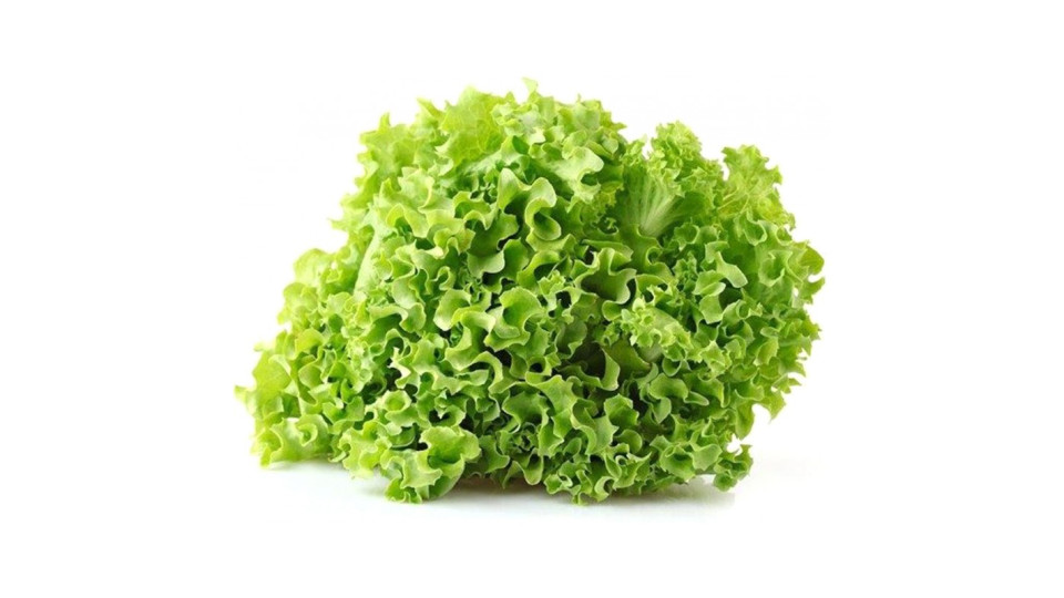 Insalata Gentile