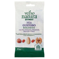 Mix Gustoso Uva Sultanina, Mandorle, Nocciole e Noci Biologico 40 g Verso Natura Bio Conad
