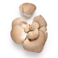 Funghi Cardoncelli Origine Italia Cat. I Vassoio 250g
