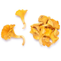 Funghi Finferli Origine Romania Cat. I Vassoio 300g Circa