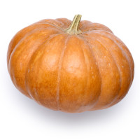 Zucca Gialla Origine Italia Cat. I