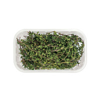 Timo 30 g