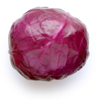 Cavolo Cappuccio Rosso Origine Italia Cat. I