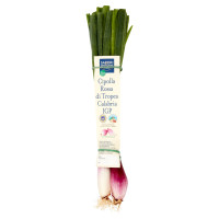 Percorso Qualità Cipolla Rossa di Tropea Calabria IGP Italia 250 g Sapori & Dintorni Conad