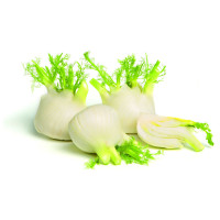 Percorso Qualità Finocchi Origine Italia Cat. I CONAD