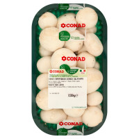 Funghi Champignon Bianco Italia 500 g Percorso Qualità Conad