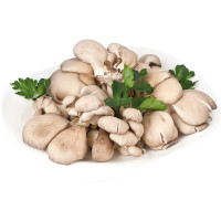 Funghi Scuri Giganti
