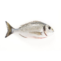 Orata Intera Fresca Eviscerata