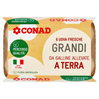6 Uova Fresche da Galline Allevate a Terra Grandi Percorso Qualità Conad