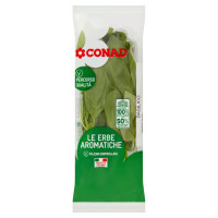 Le erbe aromatiche Basilico 30 g Percorso Qualità Conad