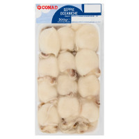Seppie Indopacifiche Congelate 500 g Conad