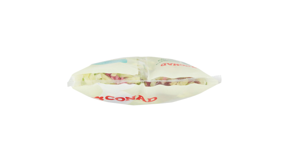 Julienne di Pan di Zucchero e Radicchio Rosso 500 g Percorso Qualità Conad
