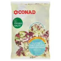 Julienne di Pan di Zucchero e Radicchio Rosso 500 g Percorso Qualità Conad