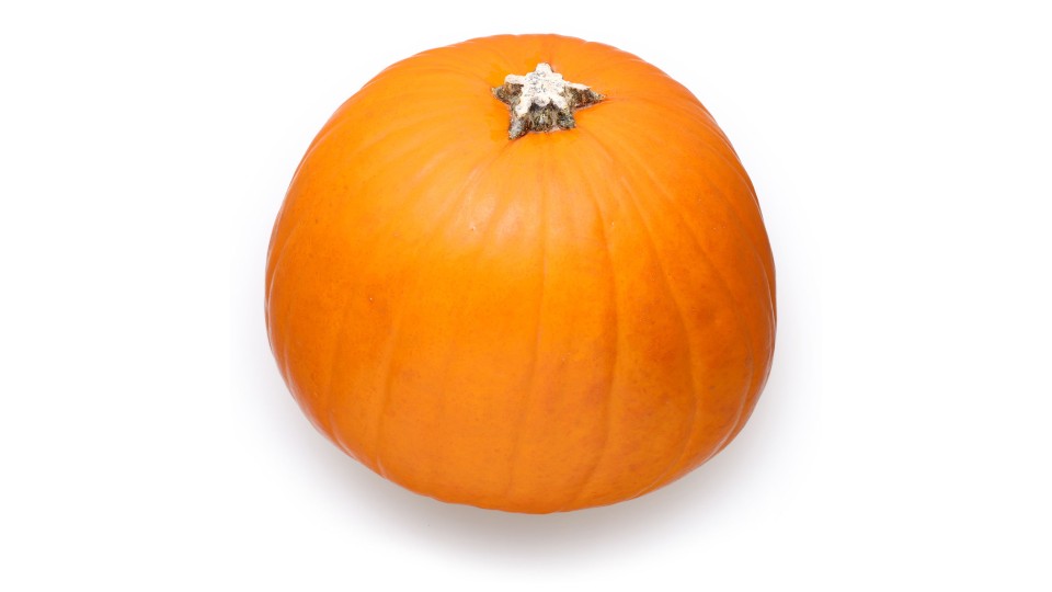 Zucca Halloween Origine Italia Cat. I