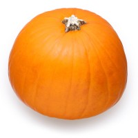 Zucca Halloween Origine Italia Cat. I