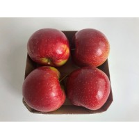 Mele Morgenduft cpq 80/85 vassoio 4 FR gr.900