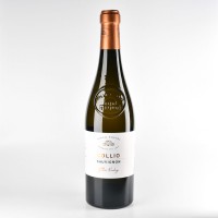 Villa Folini Vino Doc  Collio Sauvignon Lt. 0,75