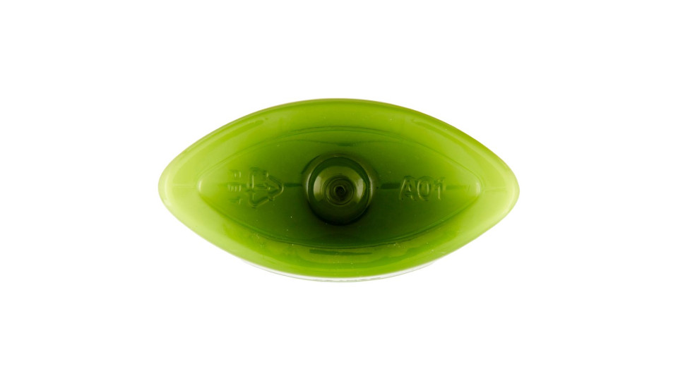 Garnier Fructis Capelli Normali Shampoo per Capelli Normali
